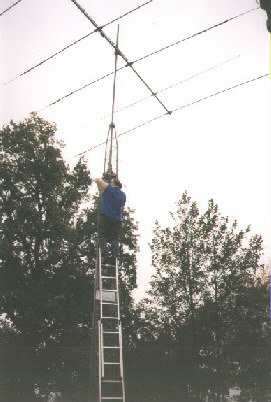 Ant_3